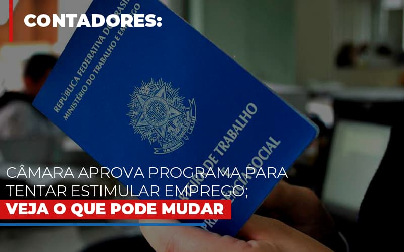 Camara Aprova Programa Para Tentar Estimular Emprego Veja O Que Pode Mudar - Snagel Contábil
