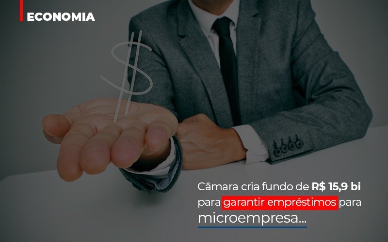 Camara Cria Fundo De Rs 15 9 Bi Para Garantir Emprestimos Para Microempresa - Snagel Contábil