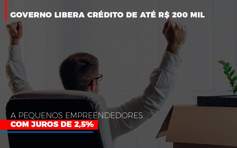 Governo Libera Credito De Ate 200 Mil A Pequenos Empreendedores Com Juros - Snagel Contábil