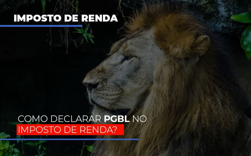 Ir2020:como Declarar Pgbl No Imposto De Renda - Snagel Contábil