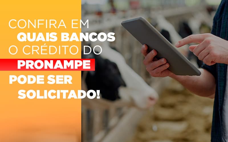 Confira Em Quais Bancos O Credito Pronampe Ja Pode Ser Solicitado - Snagel Contábil
