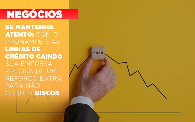 Se Mantenha Atento Com O Pronampe E As Linhas De Credito Caindo Sua Empresa Precisa De Um Reforco Extra Para Nao Correr Riscos - Snagel Contábil