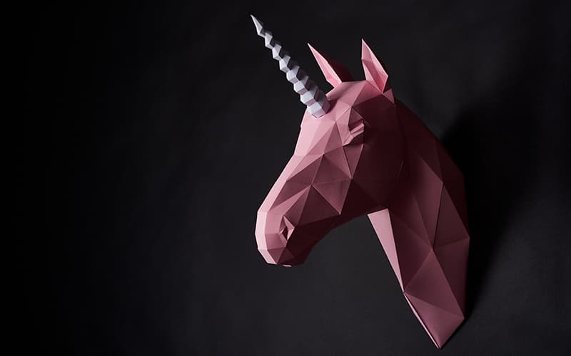 O Proximo Unicornio Pode Ser O Seu Tenha Em Maos O Guia Para Obter Sucesso Em Sua Startup - Snagel Contábil