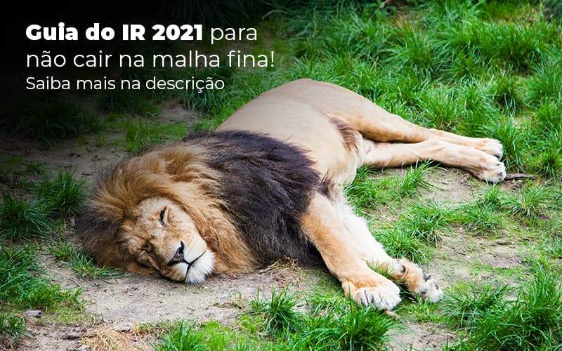 Guia Ir 2021 Para Nao Cair Na Malha Fina Saiba Mais Na Descricao Post 1 Snagel Contábil - Snagel Contábil